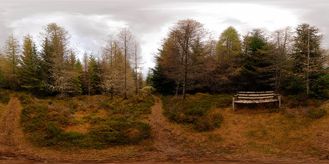 Allt na Criche Woodland in Autumn 3 360° Panorama
