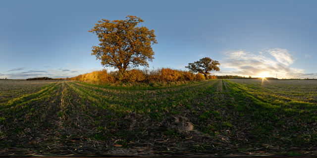 Field at sunset in Autumn 360° Panorama