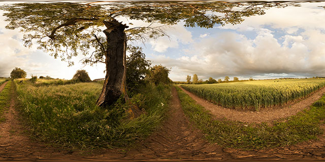 Field of green wheat near East Farndon 360° Panorama