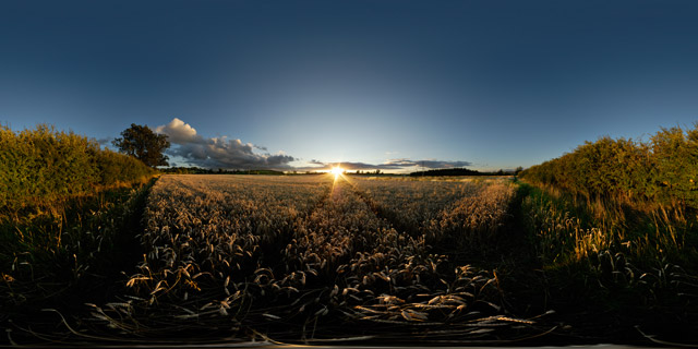 Sunset over wheat field 1 360° Panorama