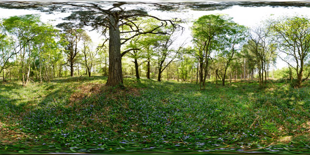 Wakerley Great Wood 2 360° Panorama