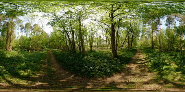 Wakerley Great Wood 3 360° Panorama