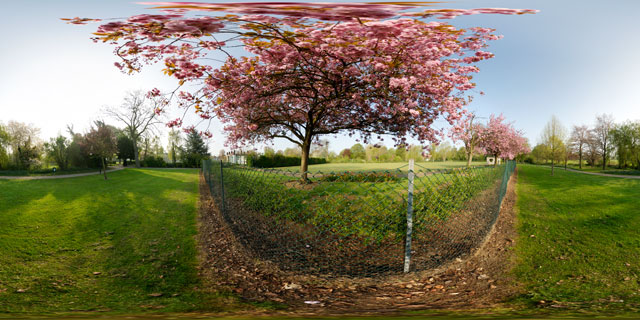 Welland Park in Spring 7 360° Panorama