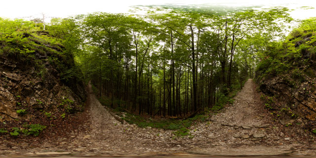 Alpenrosenweg along Schwarzenberg, Füssen 360° Panorama