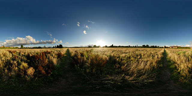 Field off Rugby close near Sunset 360° Panorama