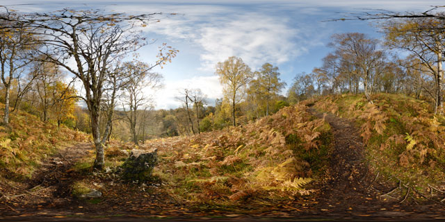 Meall Fuar-mhonaidh – Birch & Hazel Woodland 360° Panorama