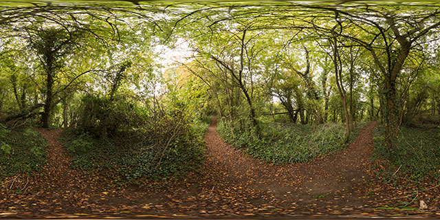 Old railway line between Harborough & Lubenham 360° Panorama