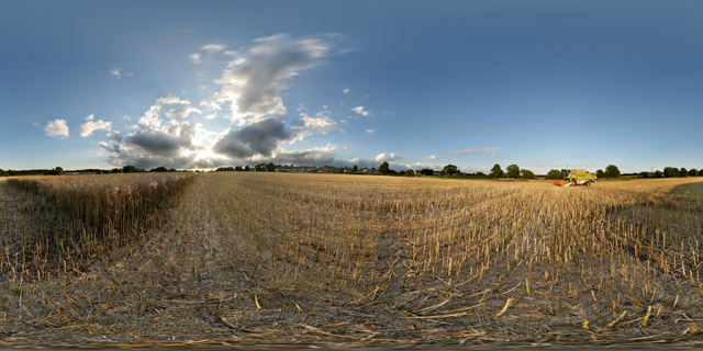 Partially harvested field of oilseed rape 360° Panorama